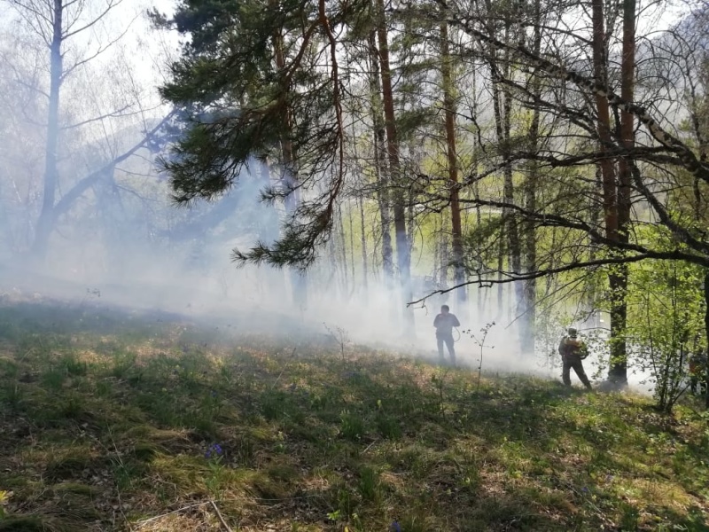 Актуальные вопросы